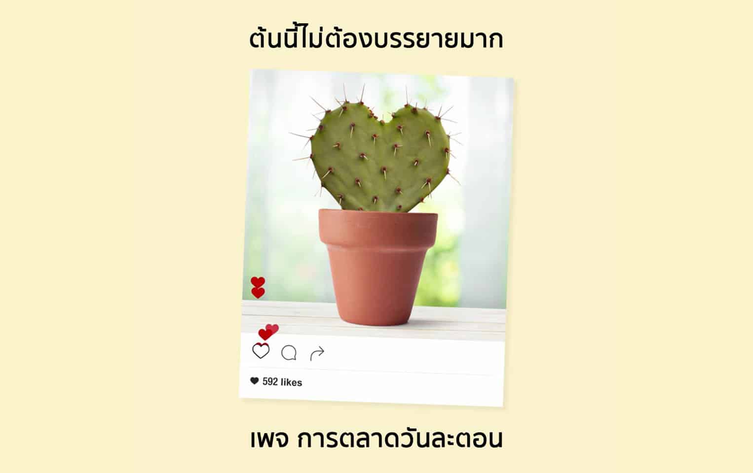 ร้านดอกไม้ NetFlorist ชวนคนมาบอกรักผ่านกระบองเพชรในช่วงฤดูแล้ง จนยอดขายเพิ่ม 46%