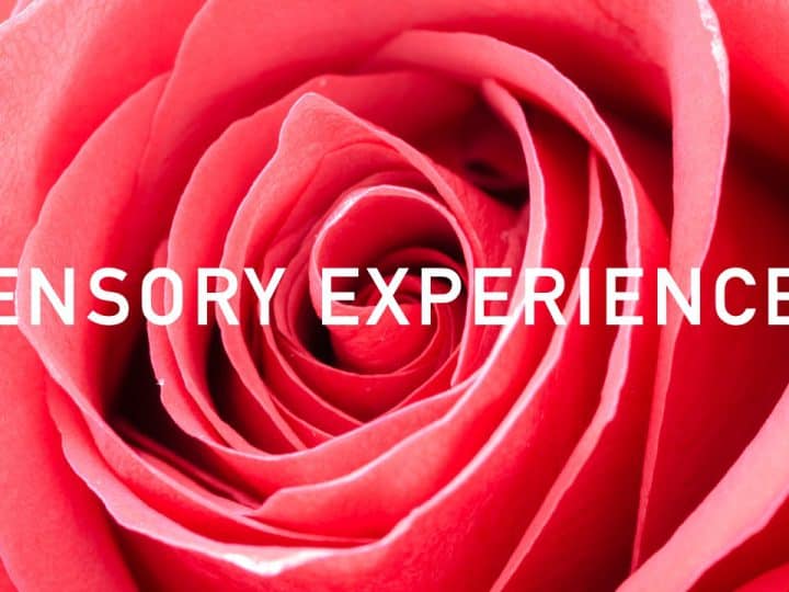 Sensory Experiences เมื่อกลิ่นคือหัวใจของการสร้างแบรนด์