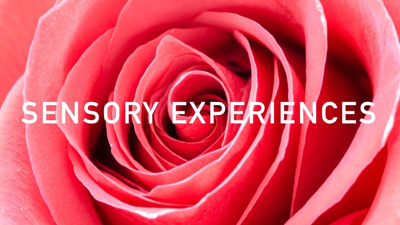 Sensory Experiences เมื่อกลิ่นคือหัวใจของการสร้างแบรนด์