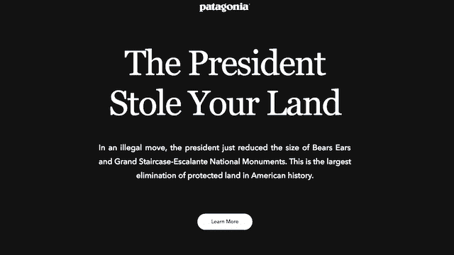 Patagonia ชวนคุณออกมา ต่อต้านประธานาธิบดี