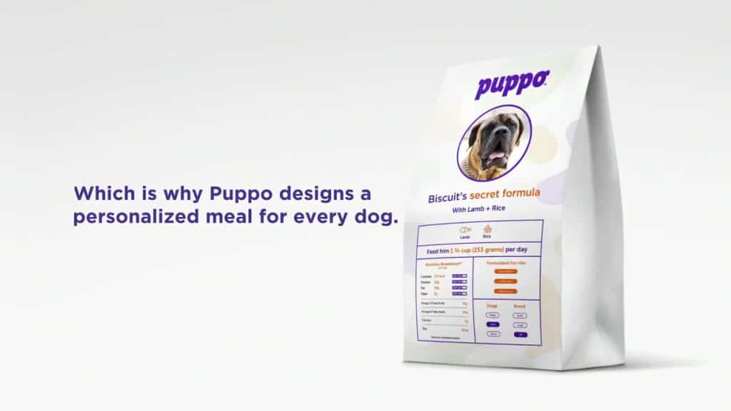Every Dog has Its Ad แคมเปญการตลาดแบบ Personalization ของ Puppo ด้วยการทำ Personalized Advertising ผ่านโปสเตอร์กว่า 100,729 ชิ้น ให้สุนัขทุกตัวทั่วนิวยอร์ก