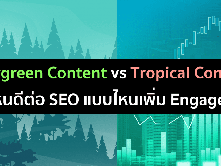 Evergreen Content คืออะไร สำคัญยังไงกับ SEO