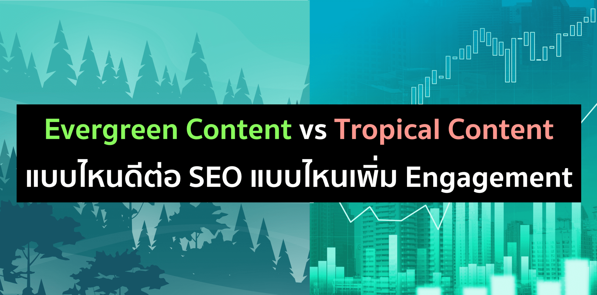 Evergreen Content คืออะไร สำคัญยังไงกับ SEO