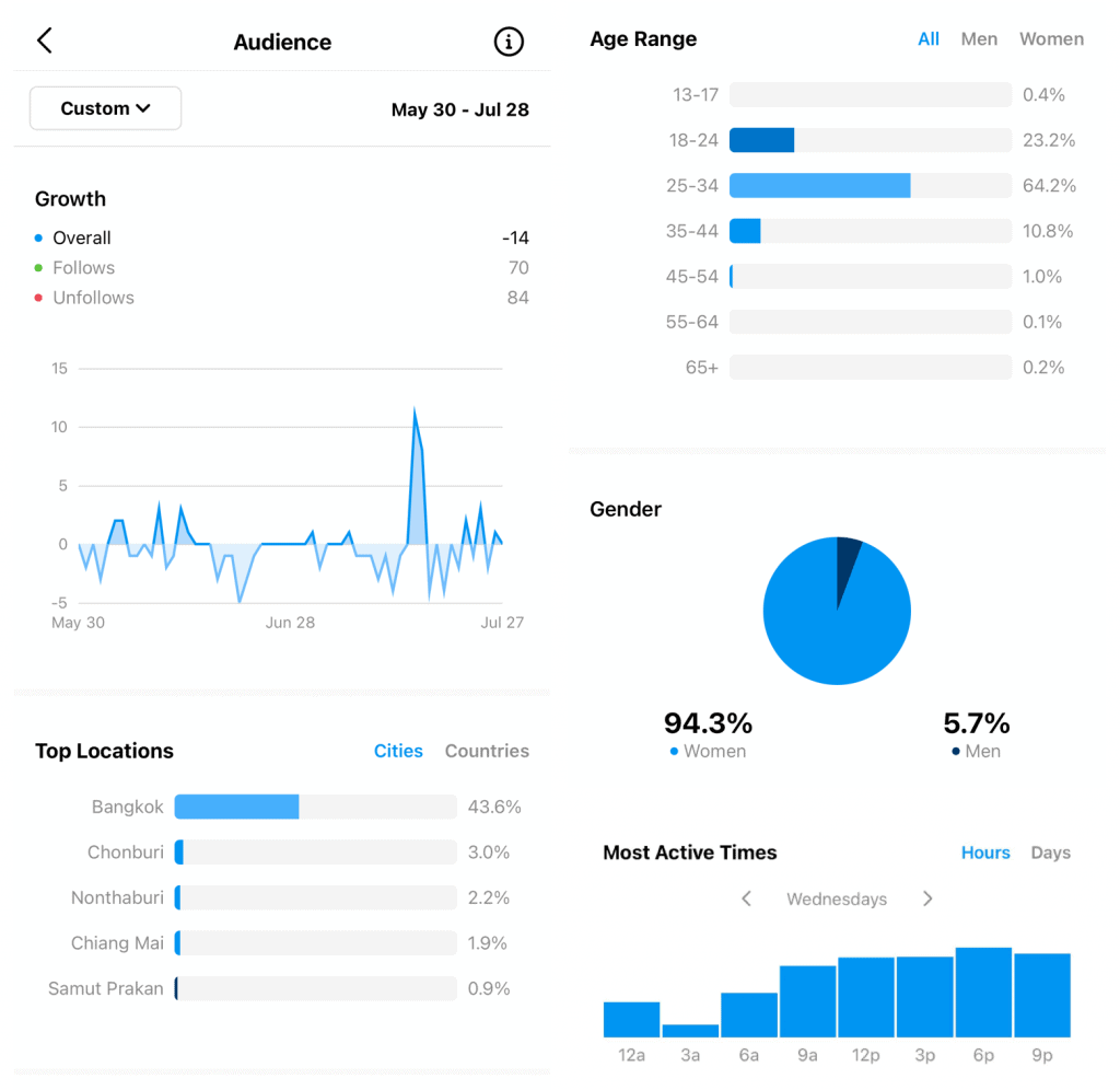 Instagram Audience Insights