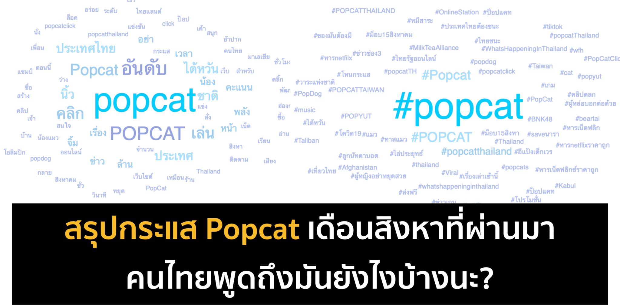 ส่อง Popularity ของ Popcat เดือนสิงหาที่ผ่านมา