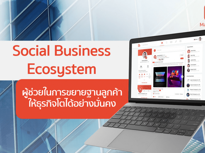 Matchlink new feature Social Business Ecosystem