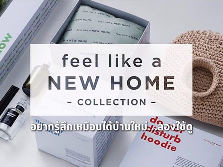 feel like a new home collection by SC ASSET