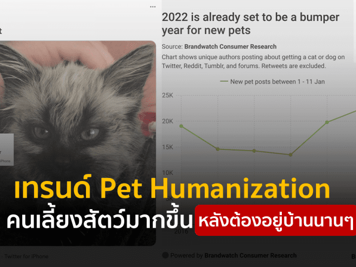 เทรนด์ Pet Humanization คนเลี้ยงสัตว์มากขึ้น หลังต้องอยู่บ้านนานๆ
