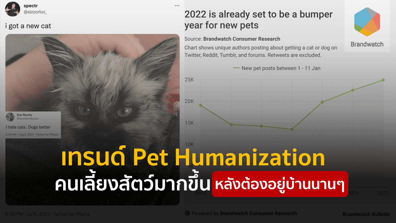 เทรนด์ Pet Humanization คนเลี้ยงสัตว์มากขึ้น หลังต้องอยู่บ้านนานๆ