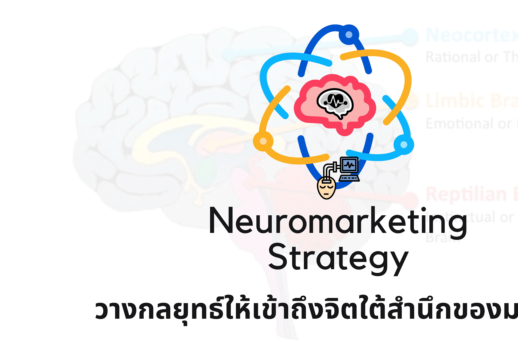 Neuromarketing Strategy วางกลยุทธ์ให้เข้าถึงจิตใต้สำนึกของมนุษย์