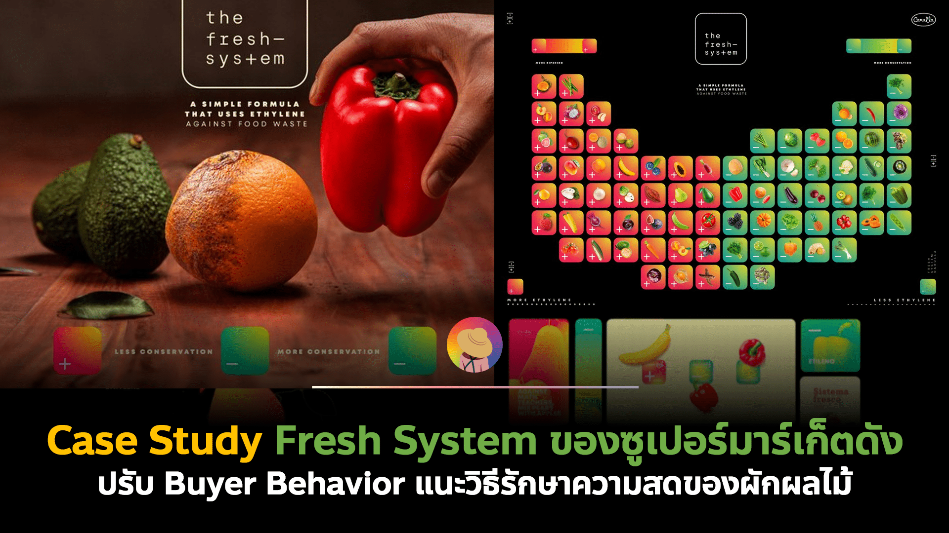 Case Study Fresh System ของซูเปอร์มาร์เก็ตดัง ปรับ Buyer Behavior แนะวิธีรักษาความสดของผักผลไม้