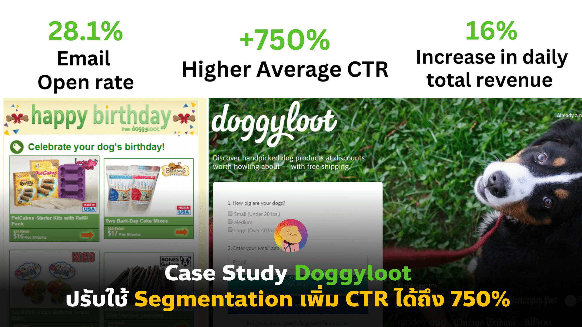 Case Study Doggyloot ปรับใช้ Segmentation เพิ่ม CTR ได้ถึง 750%
