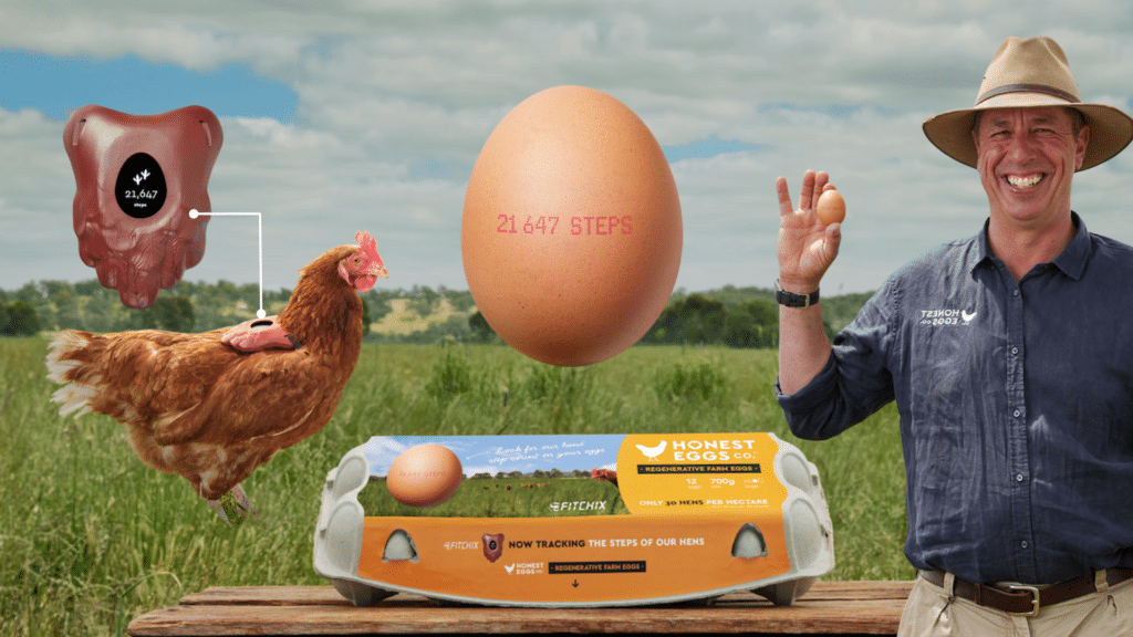 Unique Selling Point (USP) ไข่แบบใหม่ ก็สลักจำนวนก้าวไก่บนไข่ ให้รู้กันไปเลยว่าไม่ขังกรง