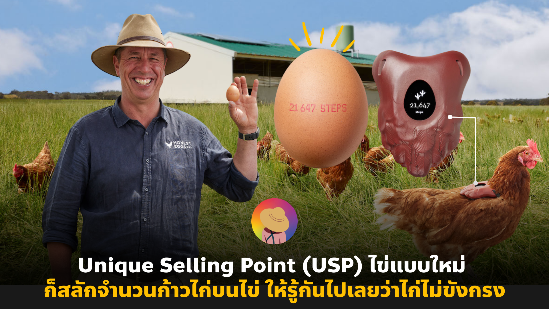 Unique Selling Point (USP) สลักจำนวนก้าวไก่บนไข่ ให้รู้กันไปเลยว่าไก่ไม่ขังกรง