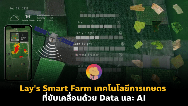Lay’s Smart Farm เทคโนโลยีการเกษตร ที่ขับเคลื่อนด้วย Data และ AI