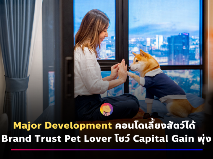 Major Development คอนโดเลี้ยงสัตว์ได้ สร้าง Brand Trust Pet Lover โชว์ Capital Gain พุ่ง 70% 