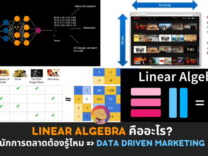 Linear Algebra คืออะไร นักการตลาดต้องรู้ไหม => Let’s go Data driven