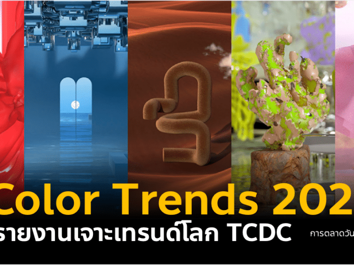 7 Color Trends 2024 สรุปเทรนด์สีประจำปี 2567