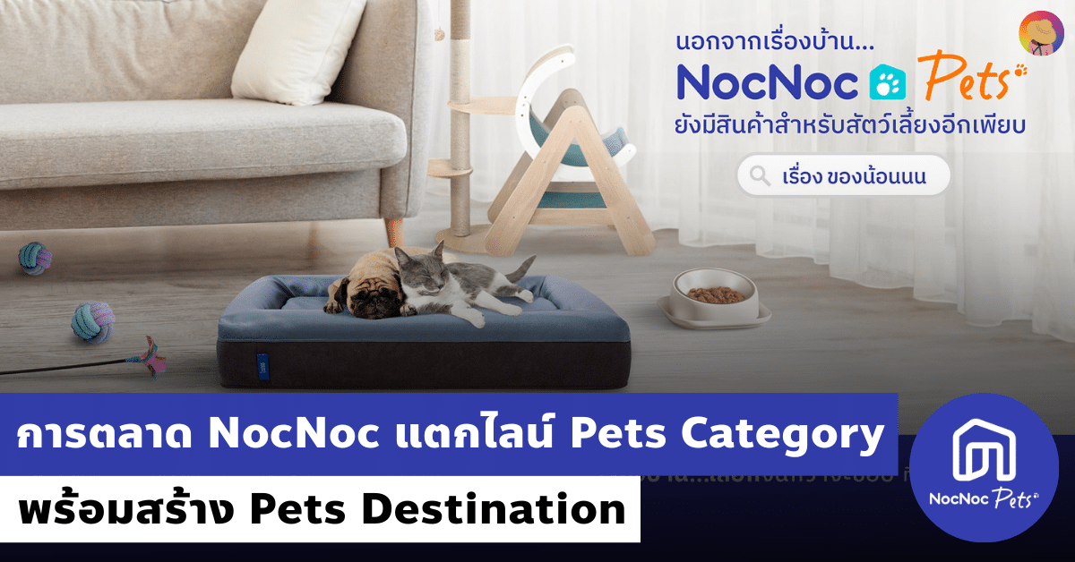 การตลาด NocNoc แตกไลน์ Pets Category สร้าง Pets Destination