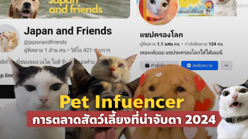 Pet Influencer การตลาดสัตว์เลี้ยงที่น่าจับตา 2024