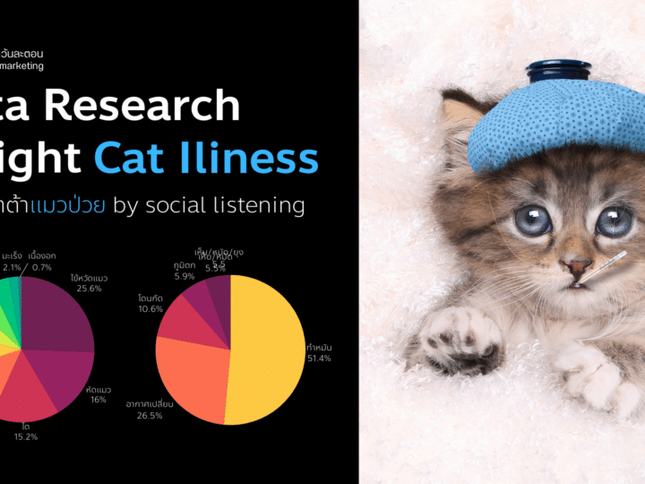 Data Research Insight เจาะดาต้า แมวป่วย By Social Listening
