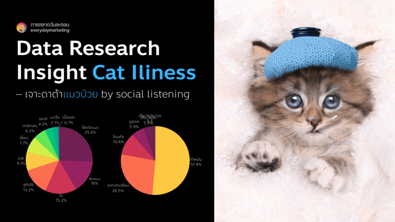 Data Research Insight เจาะดาต้า แมวป่วย By Social Listening
