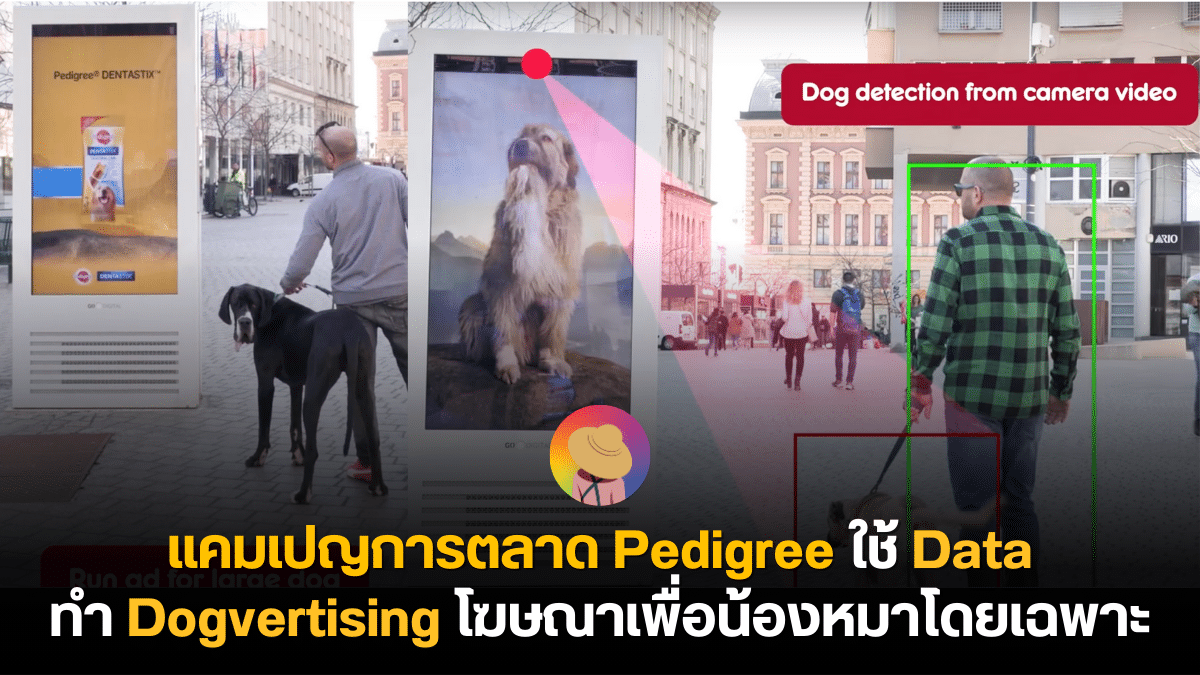 แคมเปญการตลาด Pedigree ใช้ Data ทำ Dogvertising โฆษณาเพื่อน้องหมาโดยเฉพาะ