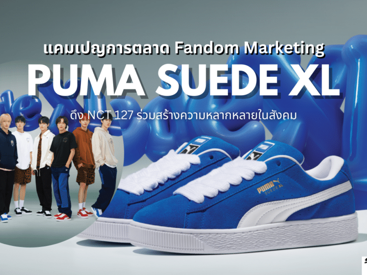 แคมเปญการตลาด PUMA เปิดตัว Suede XL ใช้ Fandom Marketing ดึง NCT 127 ร่วมสร้างความหลากหลายในสังคม