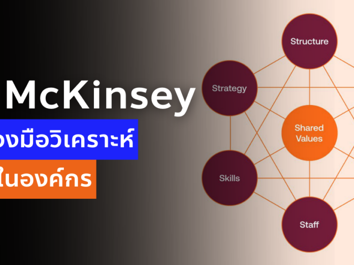 7s McKinsey Framework คืออะไร เครื่องมือวิเคราะห์ภายในองค์กร