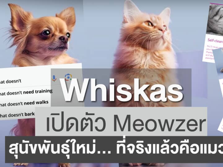 การตลาด Whiskas เปิดตัว Meowzer สุนัขพันธุ์ใหม่… ที่จริงแล้วคือแมว!