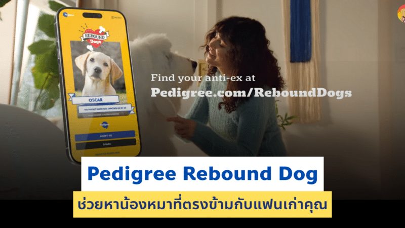 แคมเปญการตลาด Pedigree ช่วยหาน้องหมาที่ตรงข้ามกับแฟนเก่าคุณ